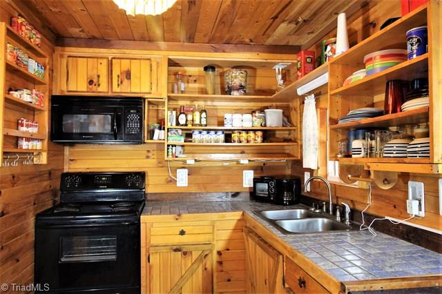 225 Ivy Ridge Lane Purlear, NC 28665 - Photo 4 of 21 Gallery Image 4
