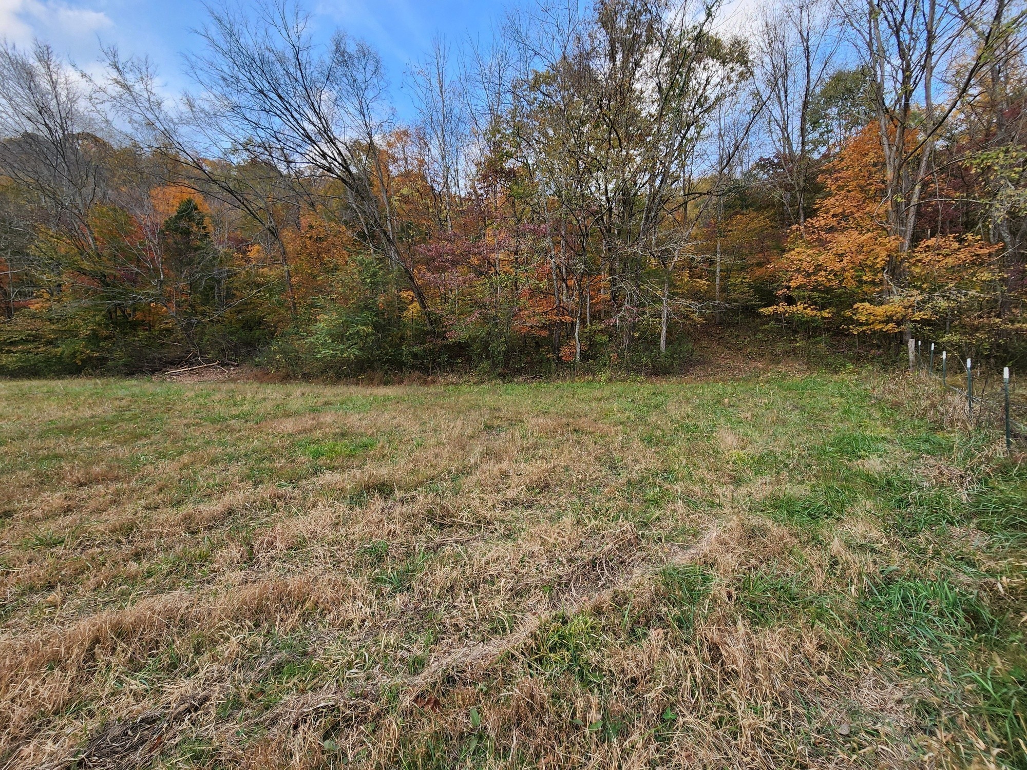0 Pine Lick Road Whitleyville, TN 38588 - Photo 3 of 16