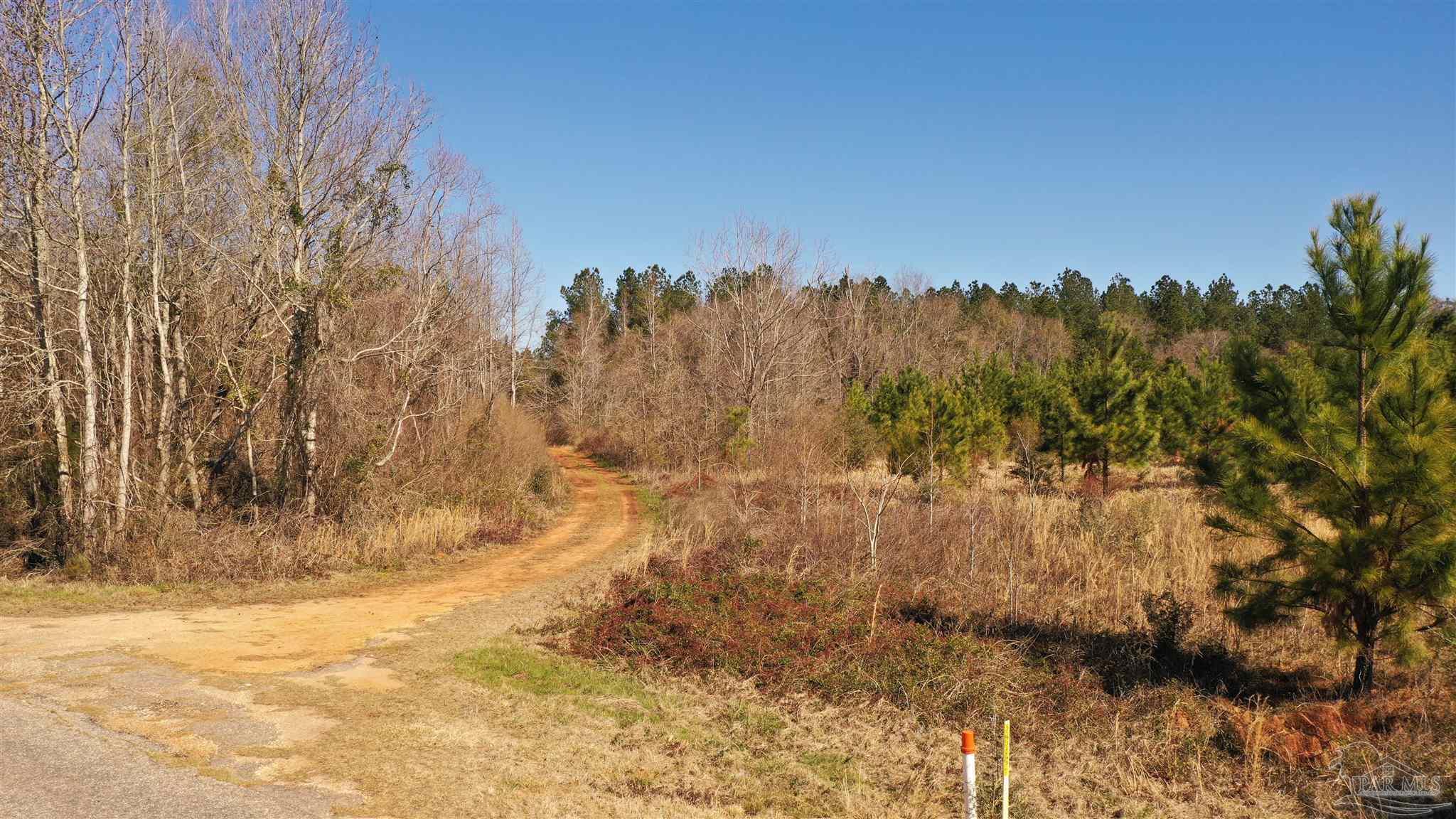 1 Old Atmore Road Flomaton, AL 36441 - Photo 13 of 19