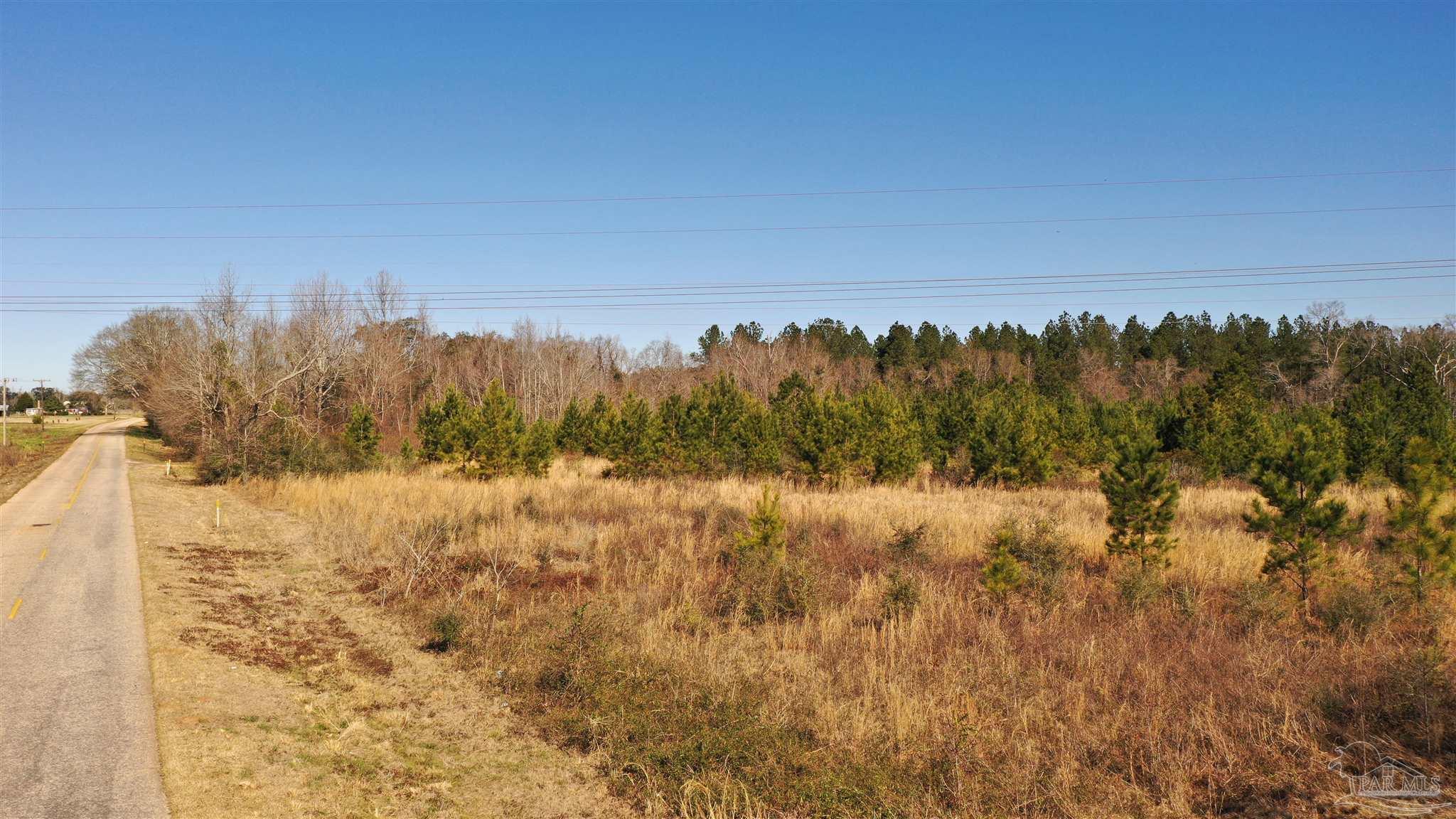 1 Old Atmore Road Flomaton, AL 36441 - Photo 3 of 19