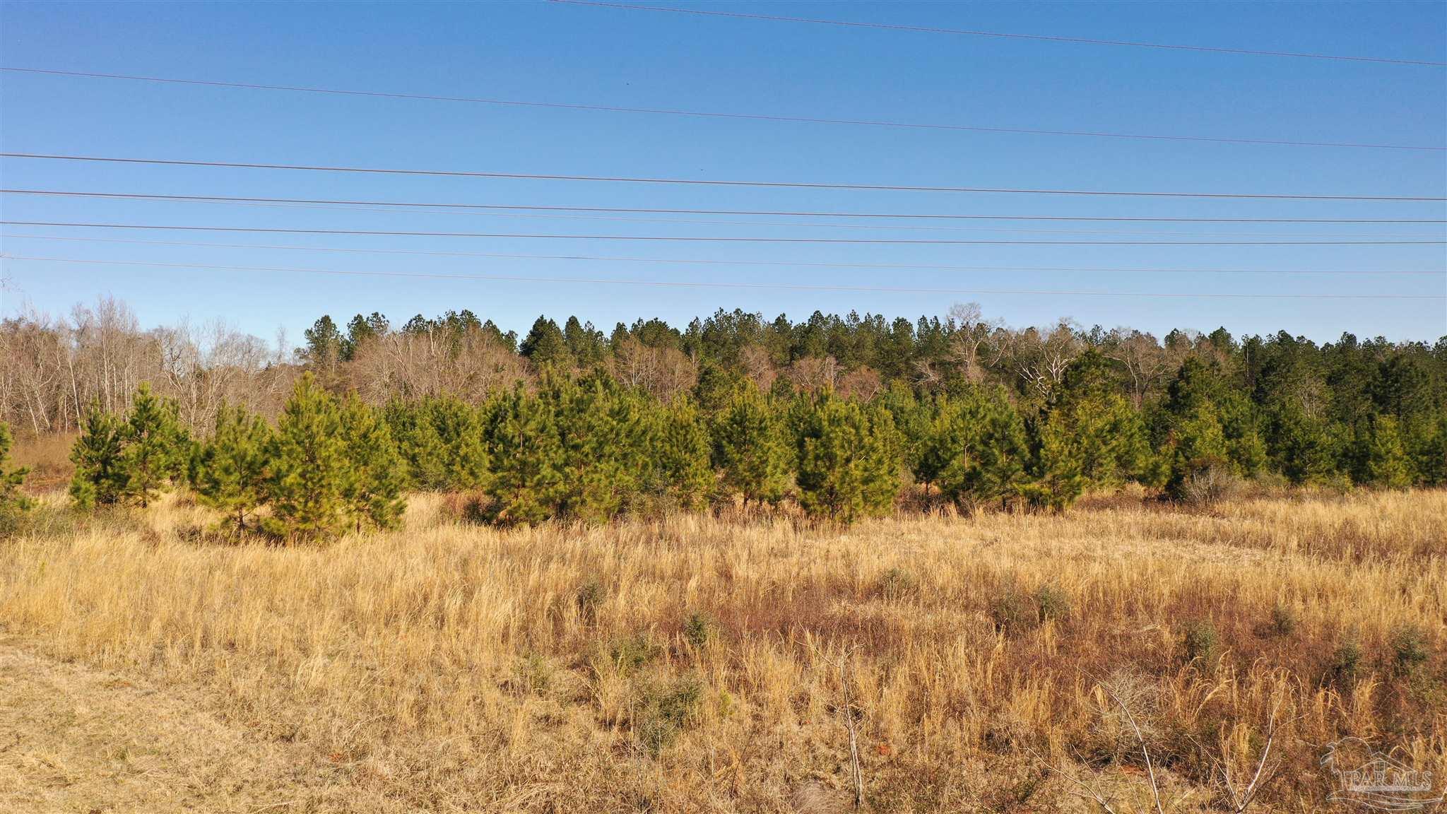 1 Old Atmore Road Flomaton, AL 36441 - Photo 5 of 19