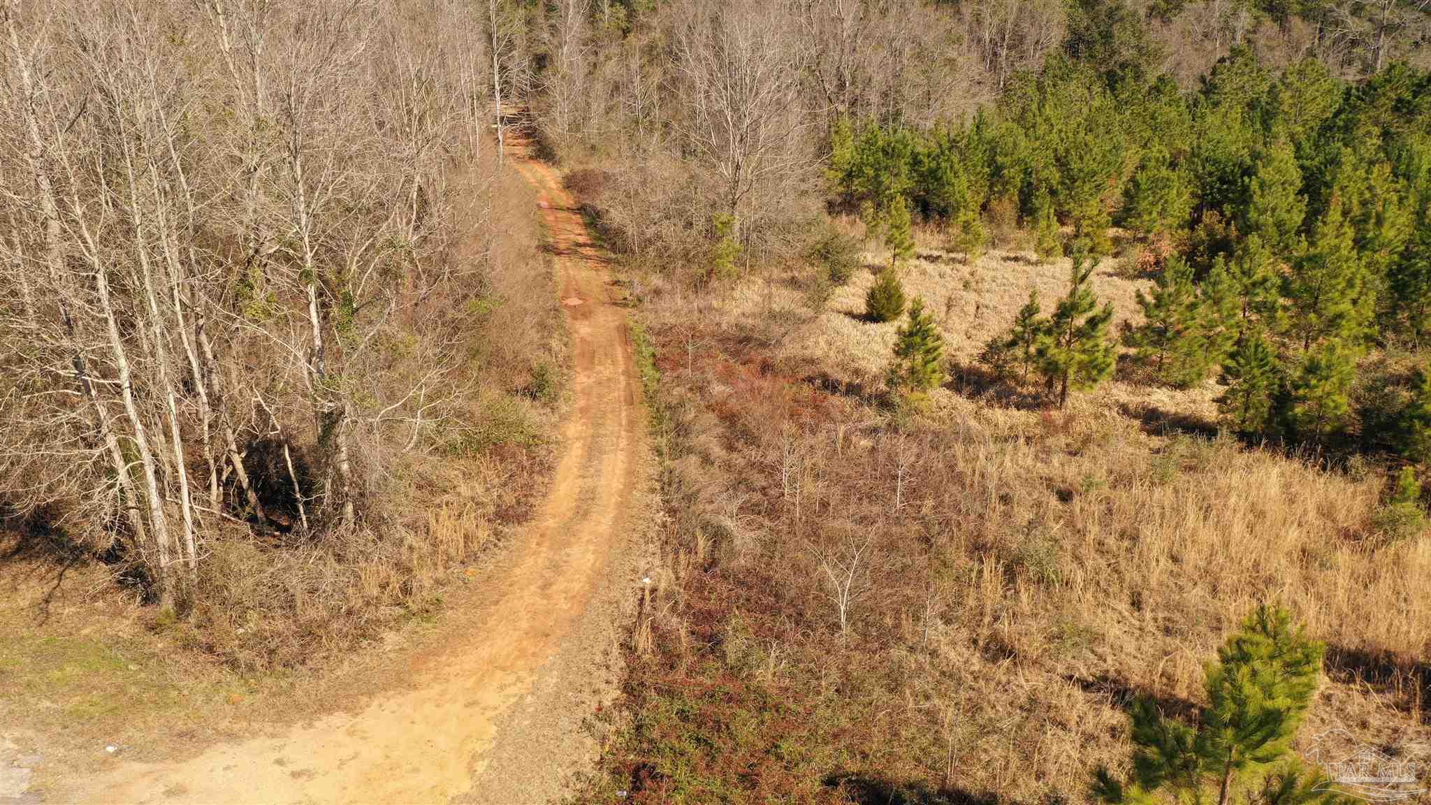 1 Old Atmore Road Flomaton, AL 36441 - Photo 7 of 19