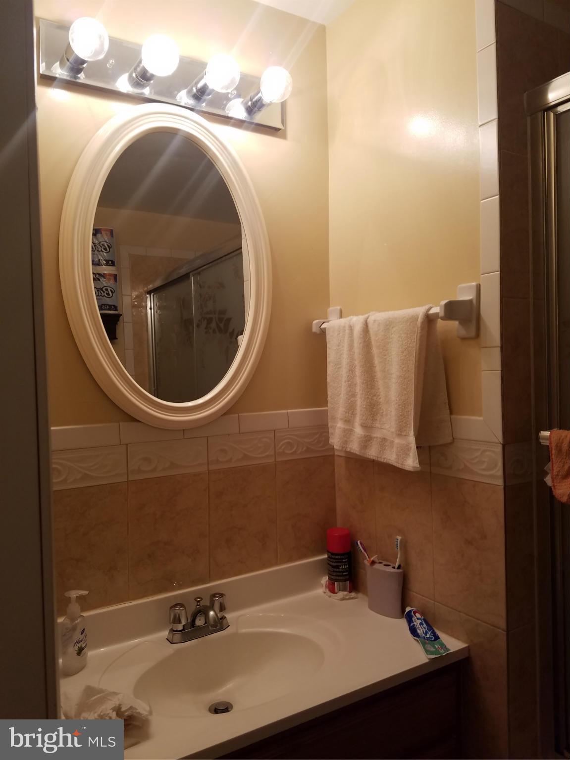 3116 Spring Drive Alexandria, VA 22306 - Photo 5 of 9 a bathroom with a sink and a mirror