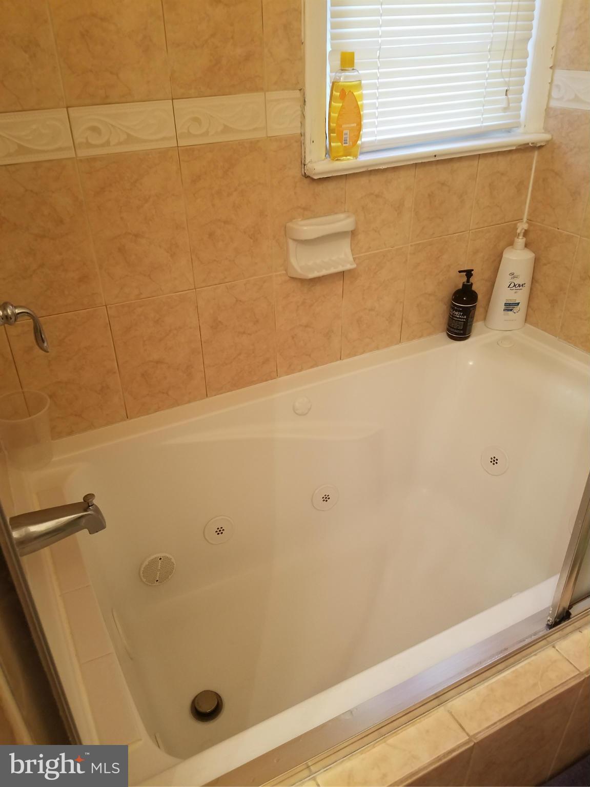 3116 Spring Drive Alexandria, VA 22306 - Photo 7 of 9 a bathroom with a tub