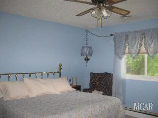 3988 Rauch Road Petersburg, MI 49270 - Photo 14 of 20 Master bedroom
