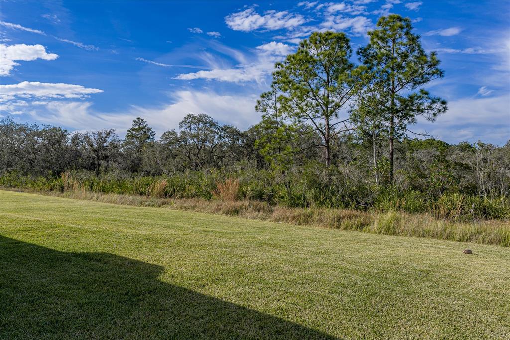 4514 Adrienne Street Sebring, FL 33872 - Photo 51 of 55 a view of a field with an trees
