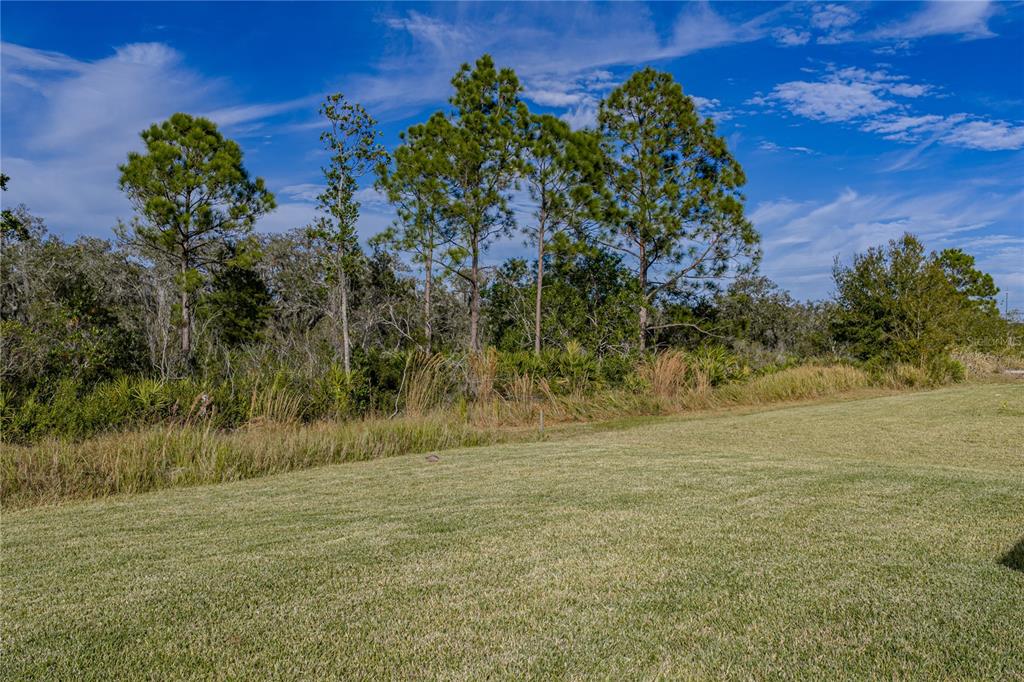 4514 Adrienne Street Sebring, FL 33872 - Photo 52 of 55 a view of a yard