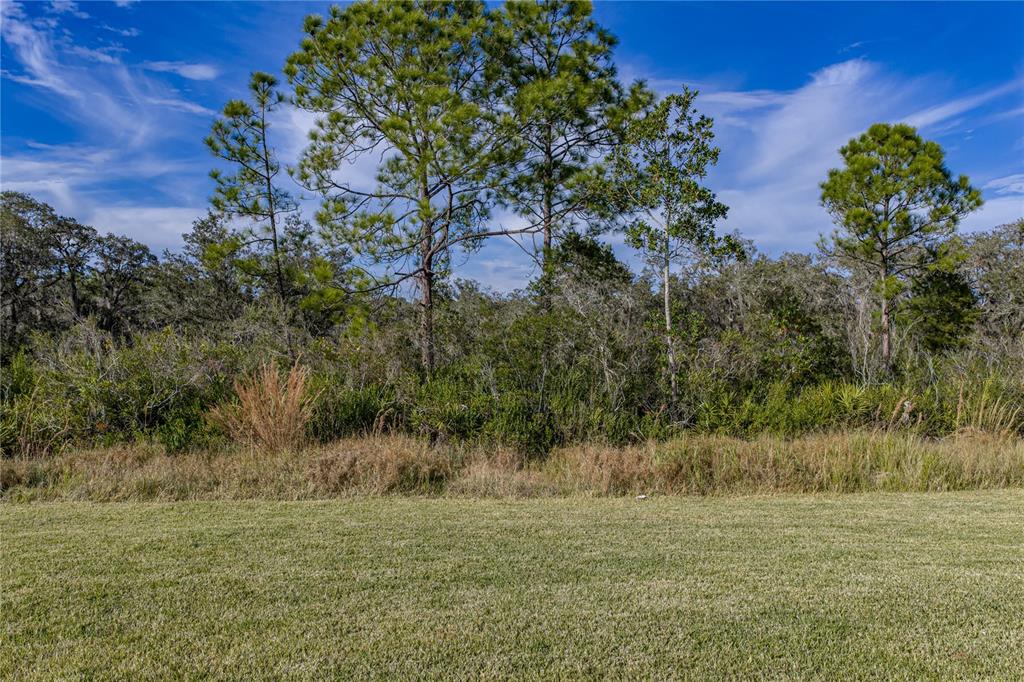 4514 Adrienne Street Sebring, FL 33872 - Photo 53 of 55 a view of a field with a tree