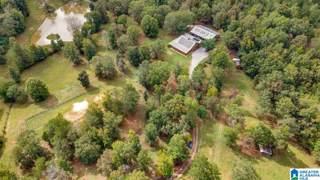 1645 County Road 153 Jemison, AL 35085 - Photo 36 of 50