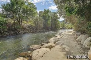 a view of a dry yard with trees