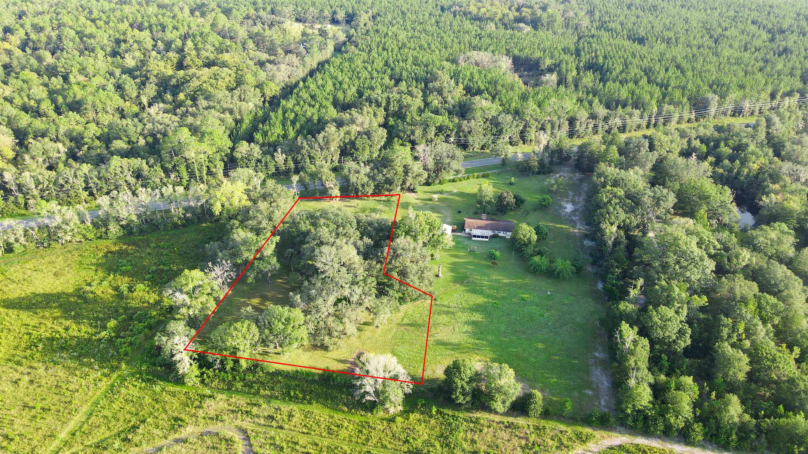 Tbd Puckett Road Perry, FL 32348 - Photo 1 of 13