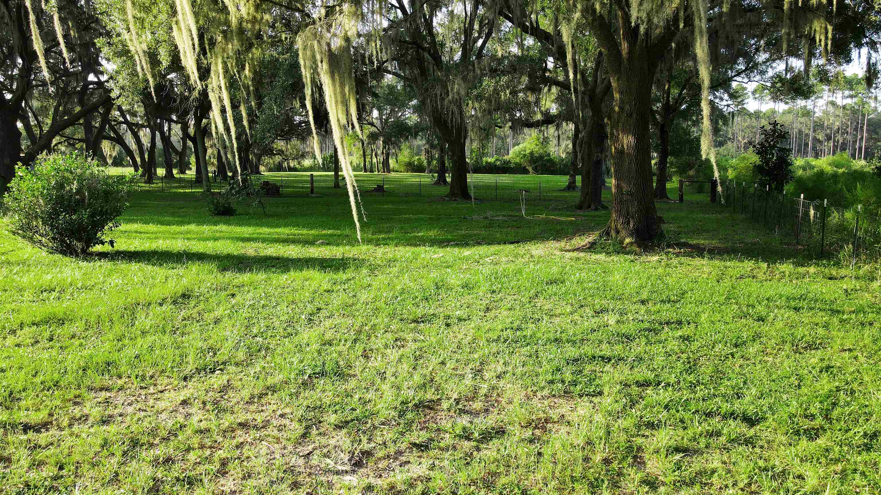 Tbd Puckett Road Perry, FL 32348 - Photo 11 of 13