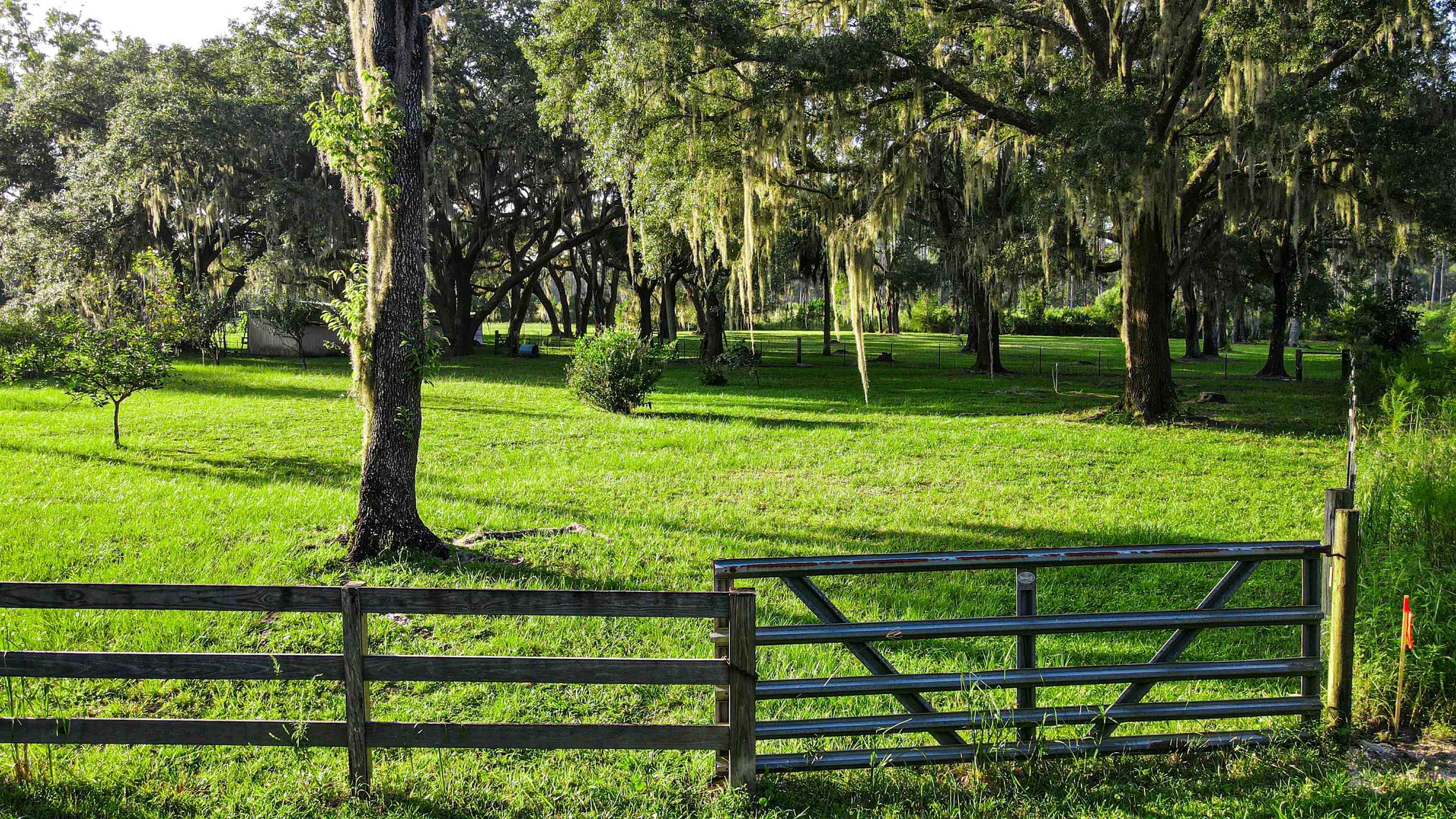 Tbd Puckett Road Perry, FL 32348 - Photo 12 of 13