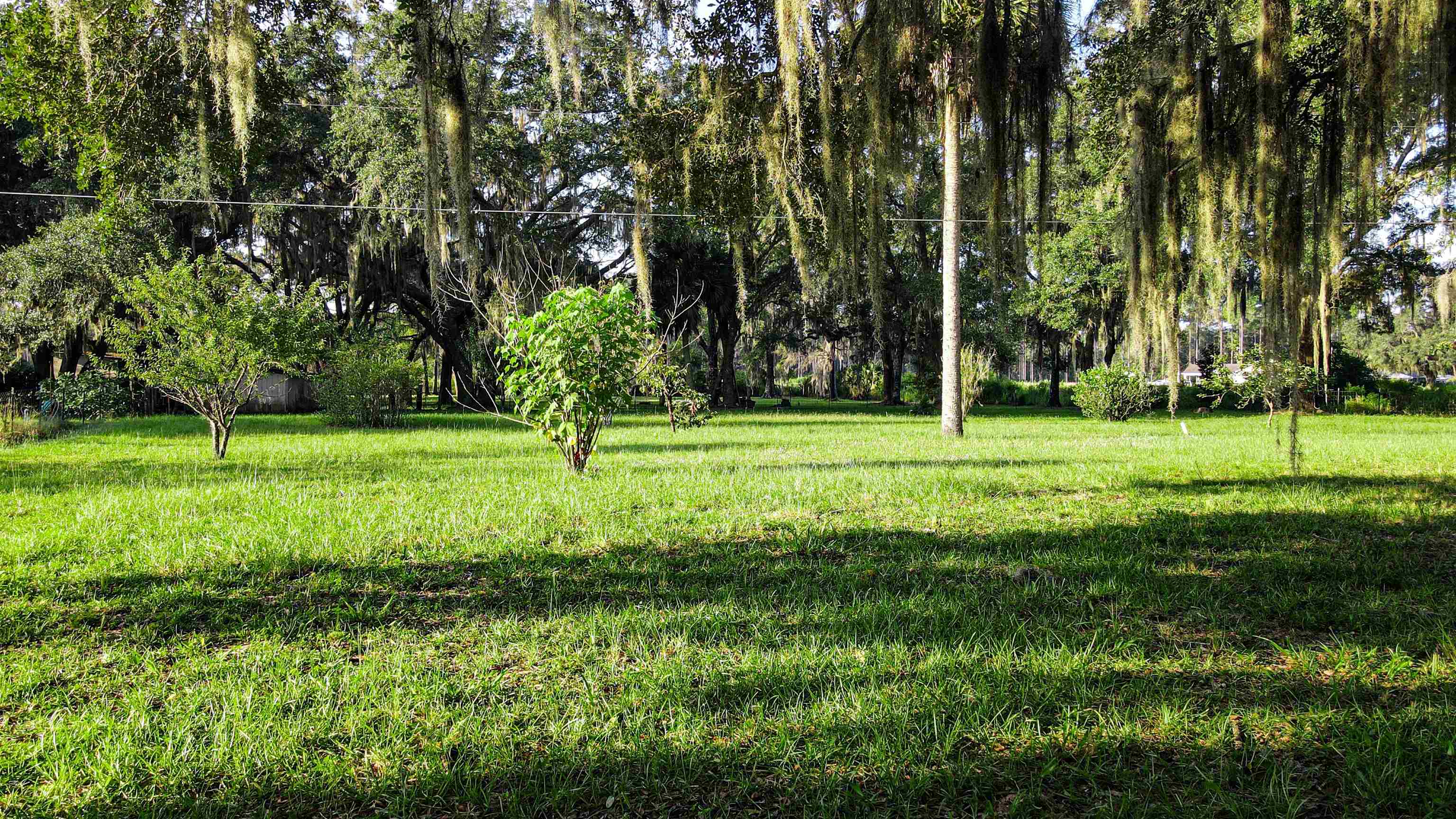Tbd Puckett Road Perry, FL 32348 - Photo 13 of 13