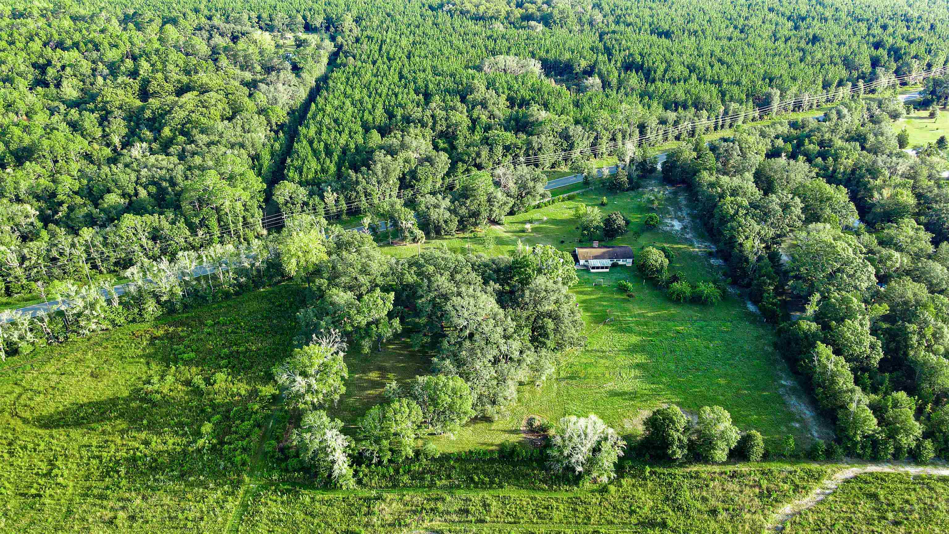 Tbd Puckett Road Perry, FL 32348 - Photo 2 of 13