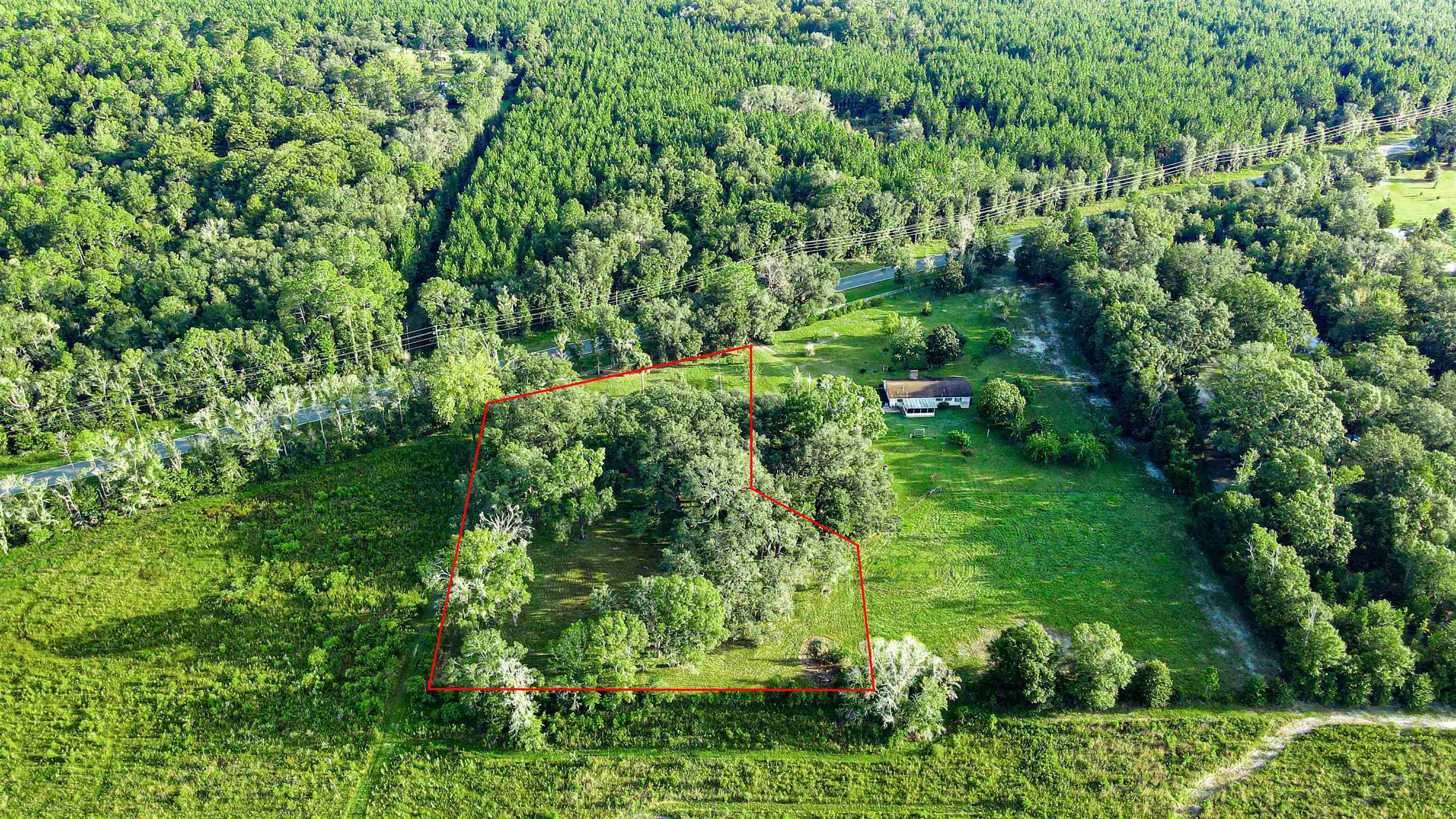 Tbd Puckett Road Perry, FL 32348 - Photo 3 of 13