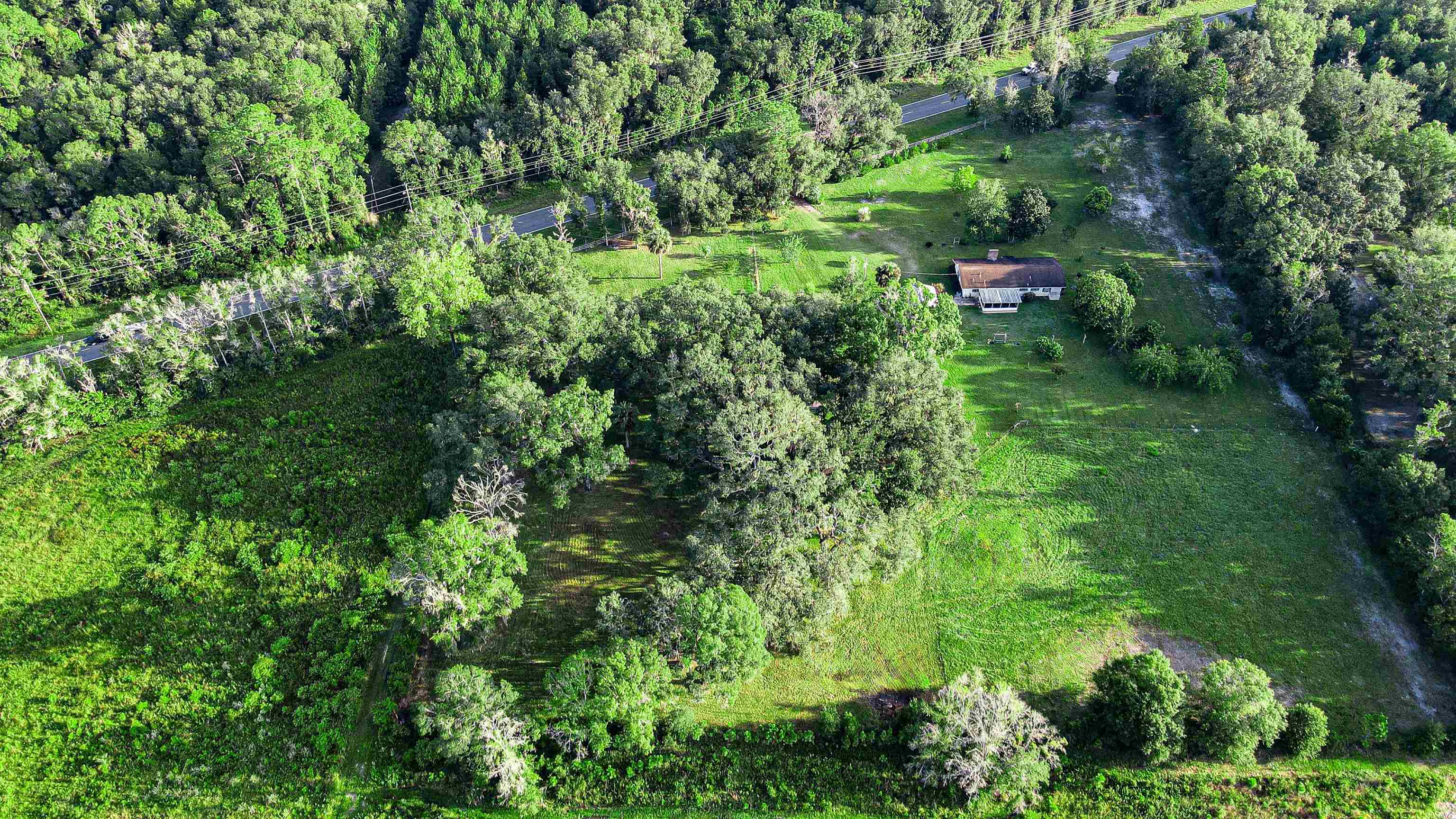 Tbd Puckett Road Perry, FL 32348 - Photo 4 of 13