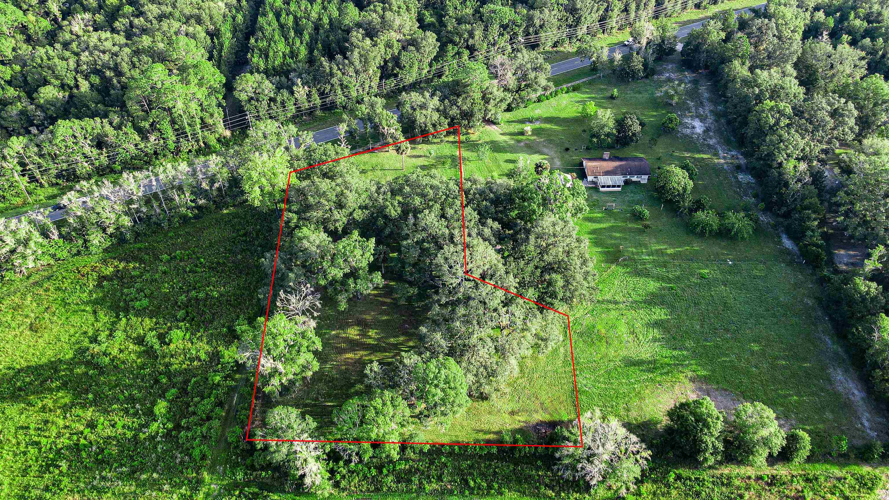 Tbd Puckett Road Perry, FL 32348 - Photo 5 of 13