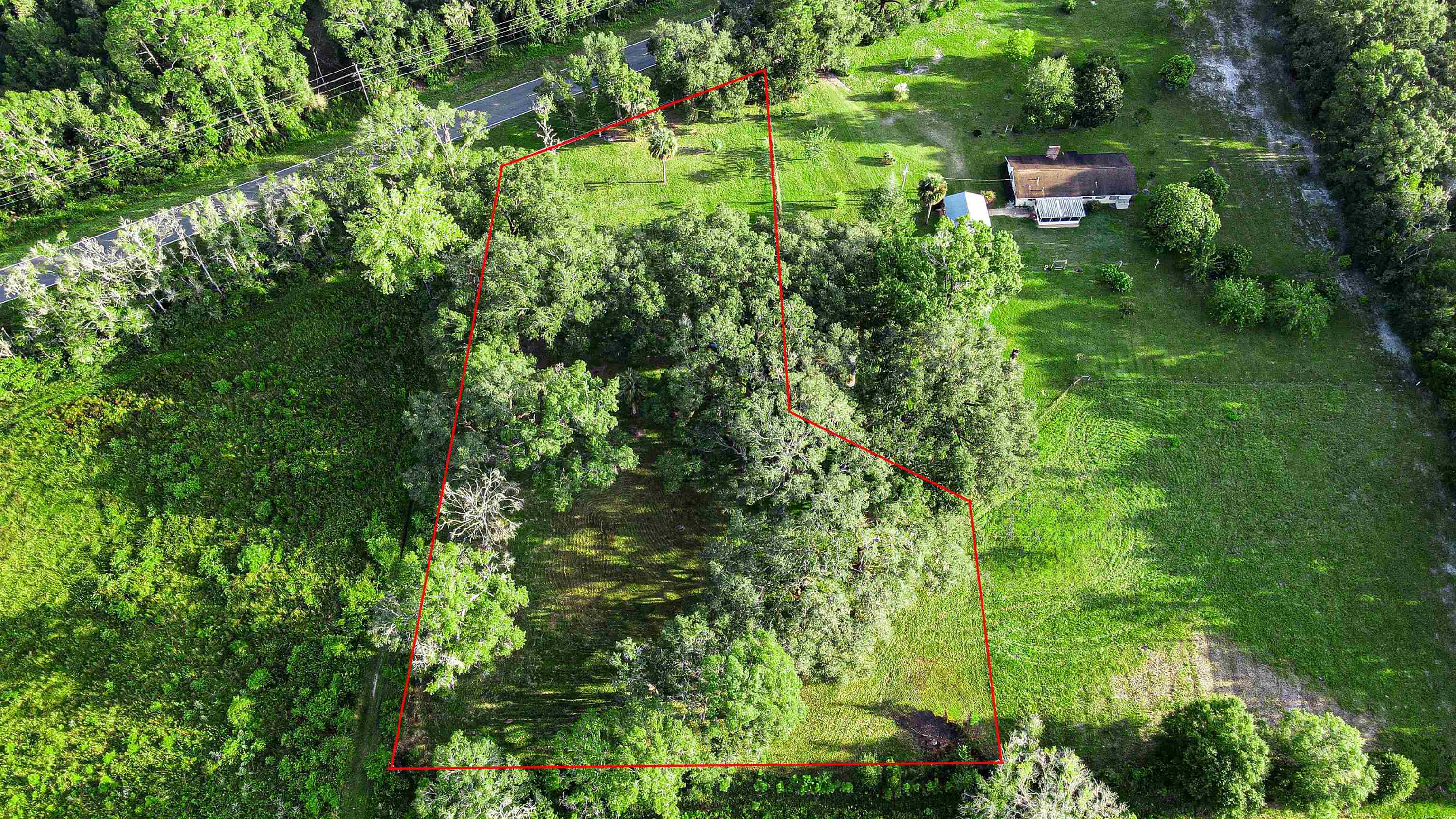 Tbd Puckett Road Perry, FL 32348 - Photo 7 of 13