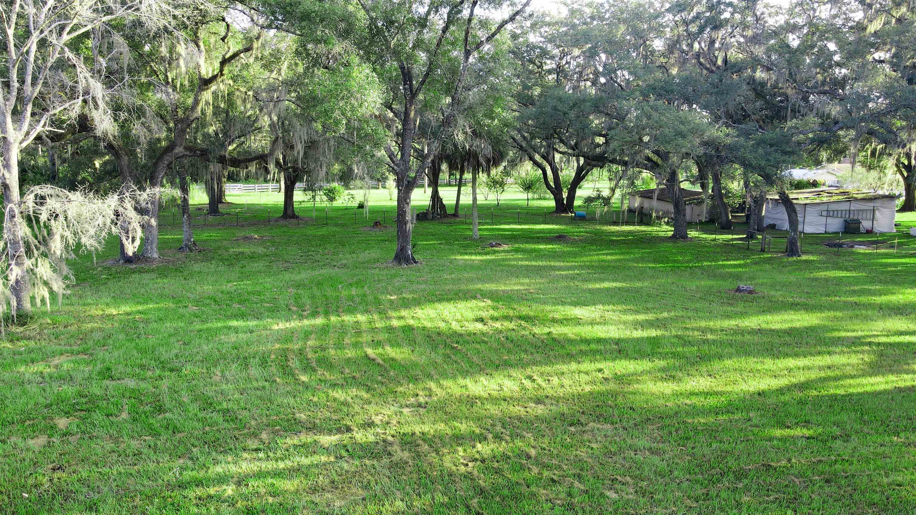 Tbd Puckett Road Perry, FL 32348 - Photo 8 of 13