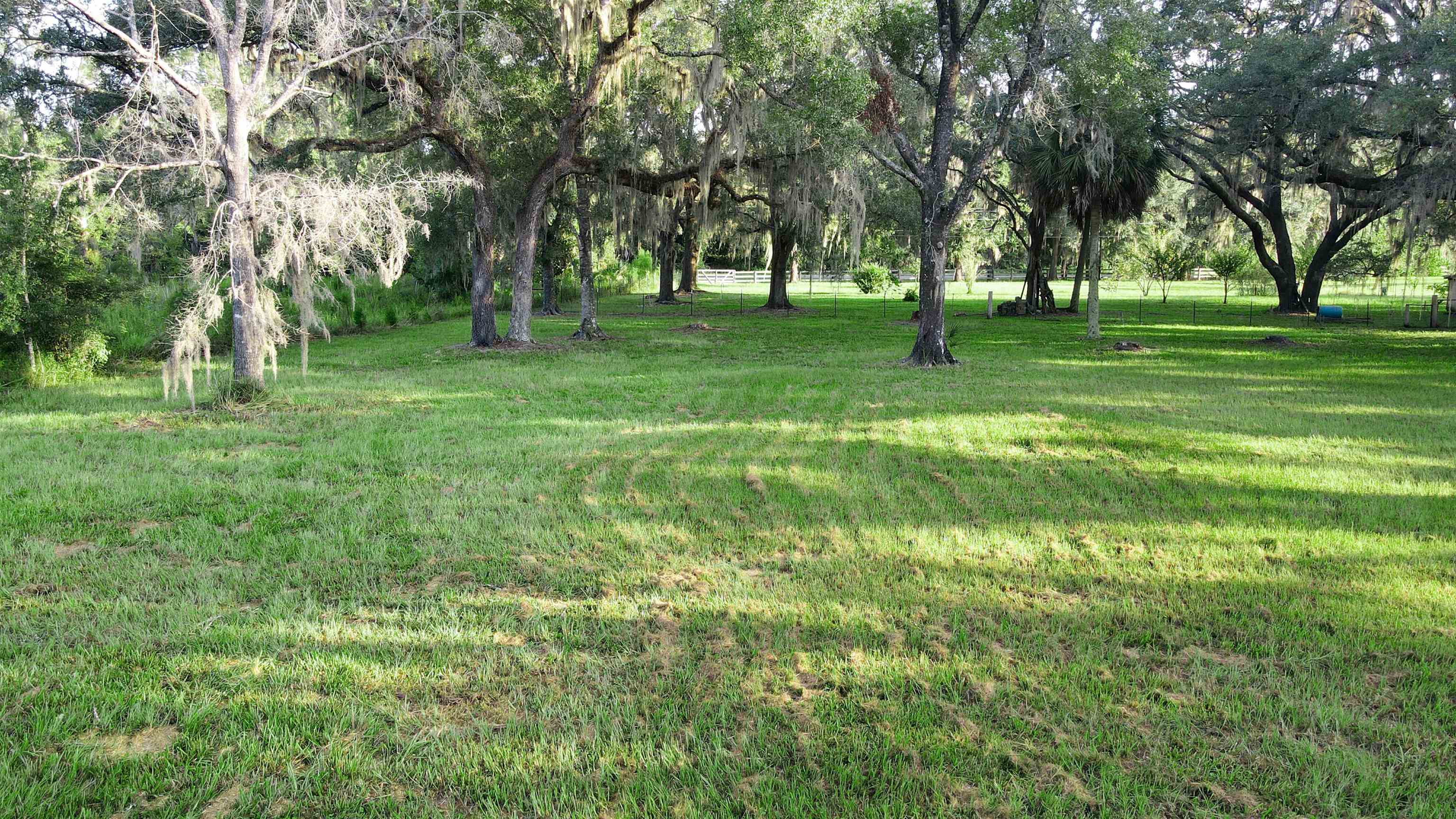 Tbd Puckett Road Perry, FL 32348 - Photo 9 of 13
