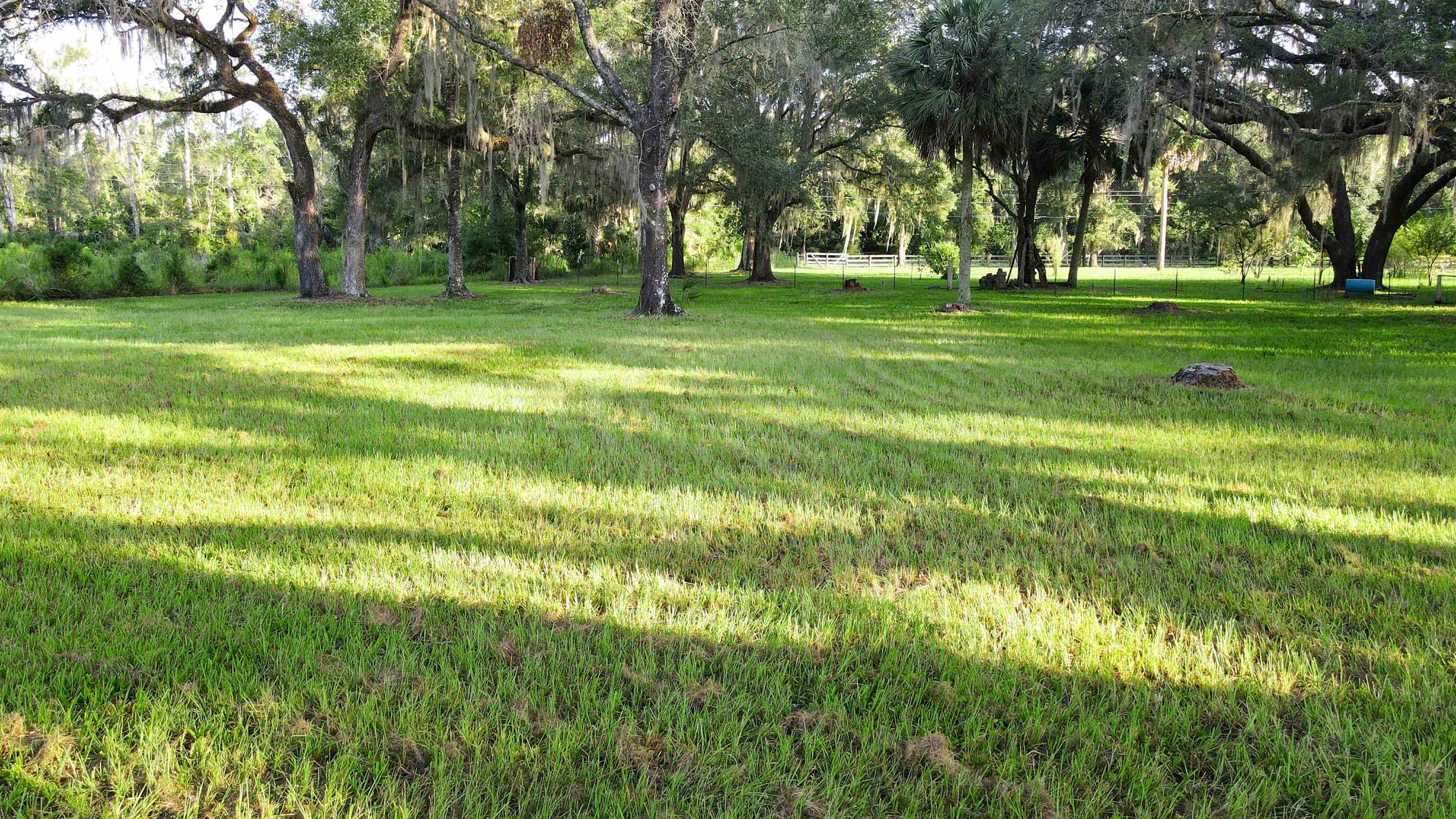 Tbd Puckett Road Perry, FL 32348 - Photo 10 of 13