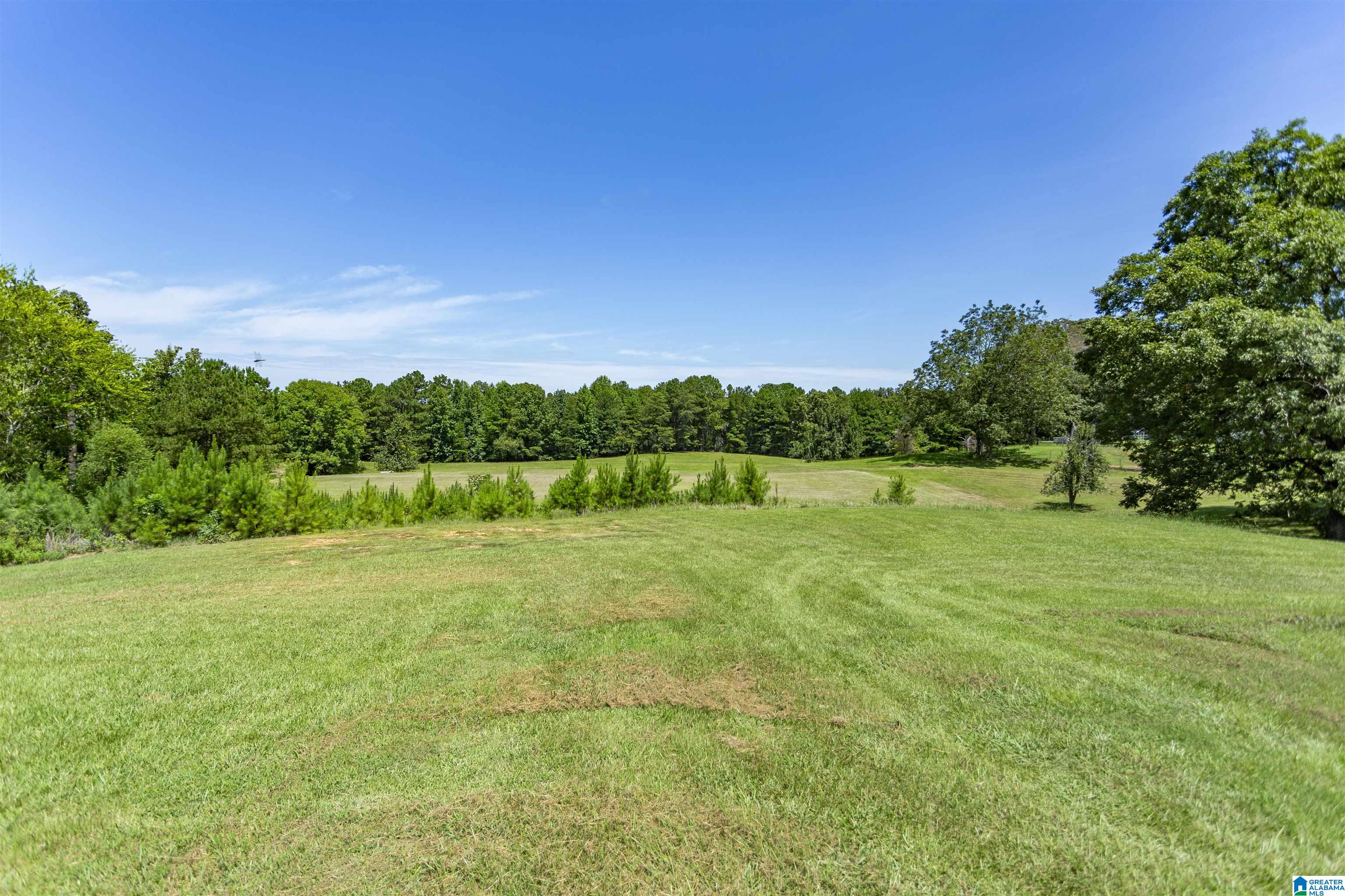 939 Buddy Vines Camp Road Bessemer, AL 35023 - Photo 14 of 79