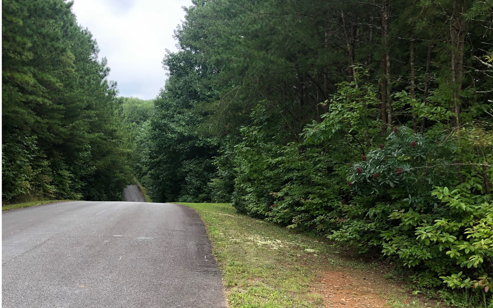 32 East Ridge Lane Ellijay, GA 30536 - Photo 6 of 7 Additional View