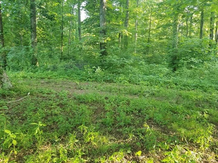 12174 Bulltown Road Laurel, IN 47024 - Photo 15 of 38 Gallery Image 15
