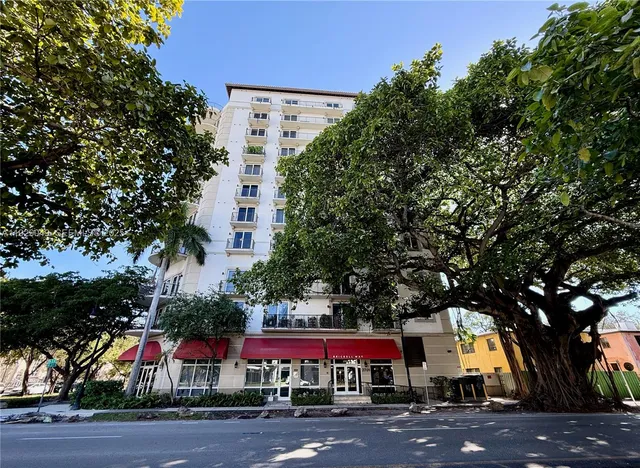 a view of a large trees