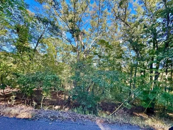 $6,000 | 2018 Heather Drive, Lake Sherwood, MO 63357