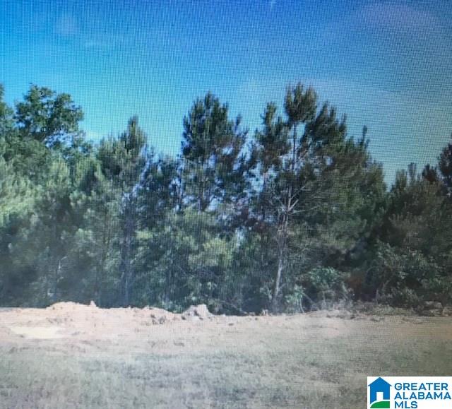462 Lane Road Oxford, AL 36203 - Photo 2 of 2