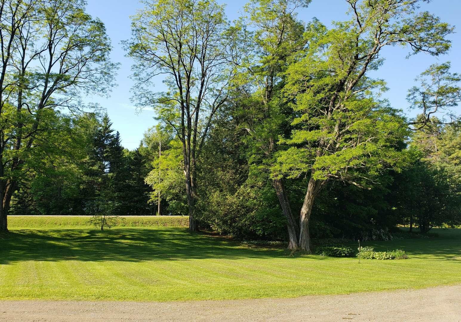 1796 Dexter Road Dover-Foxcroft, ME 04426 - Photo 32 of 38 1796_dexter_32