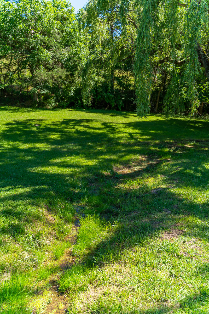 741 Smokey Row Road Lexington, VA 24450 - Photo 44 of 46 DSC02278