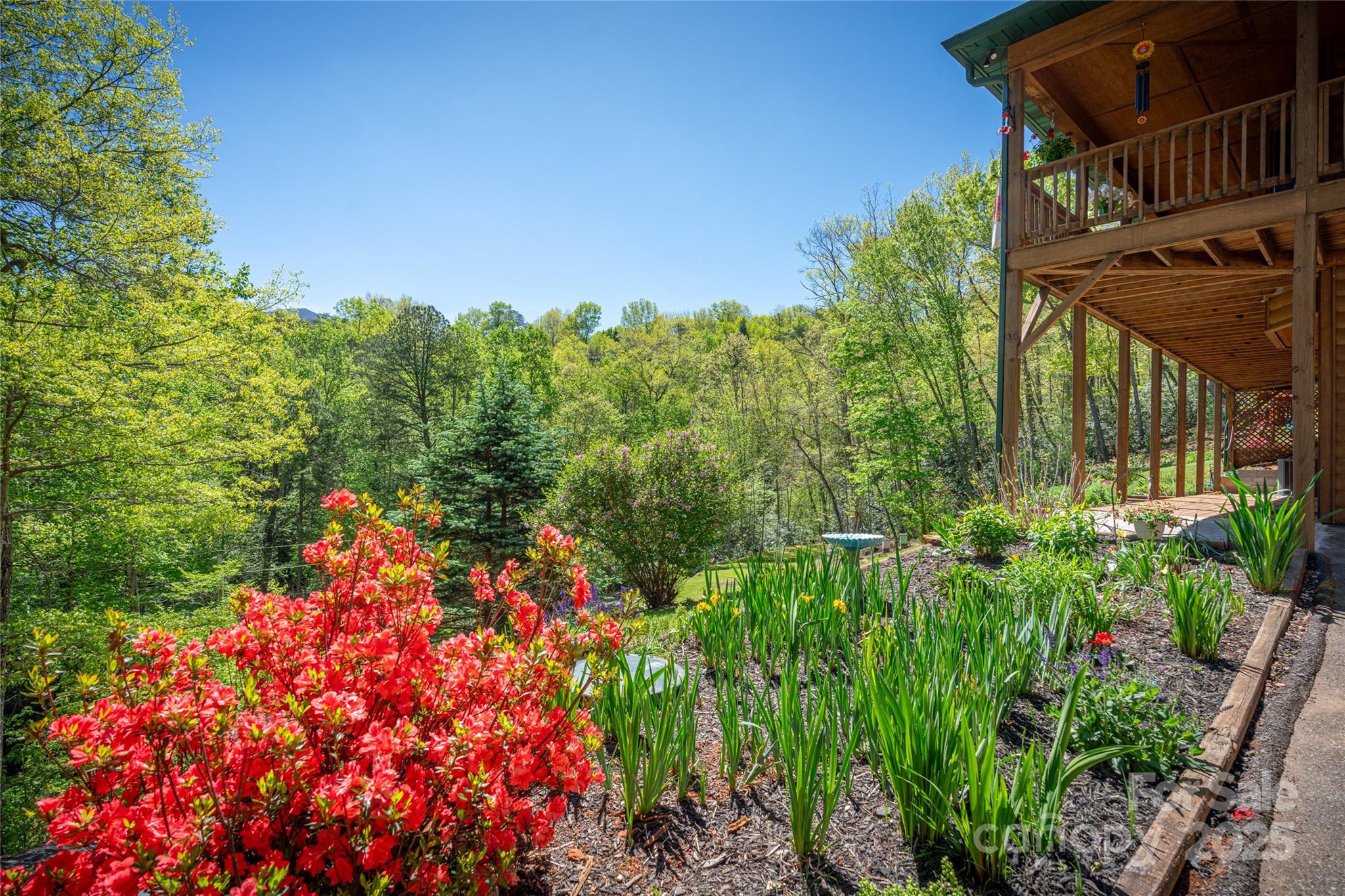 234 Deer Run Road Canton, NC 28716 - Photo 14 of 48 a picture of flowers