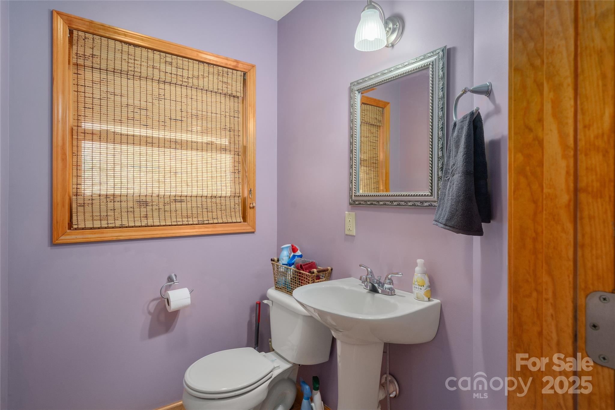 234 Deer Run Road Canton, NC 28716 - Photo 25 of 48 a bathroom with a sink a toilet and mirror