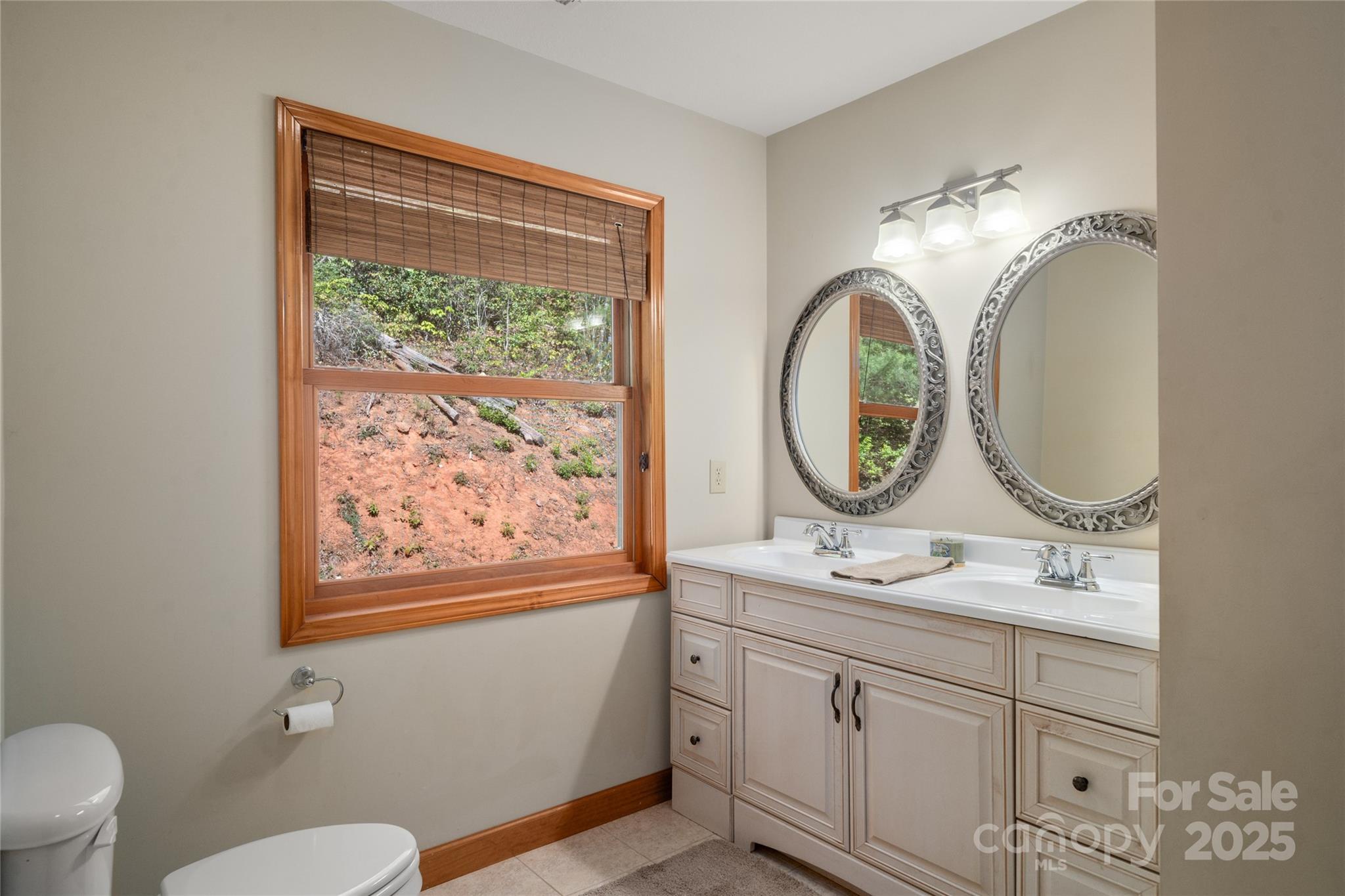 234 Deer Run Road Canton, NC 28716 - Photo 35 of 48 a bathroom with a sink mirror vanity and a toilet