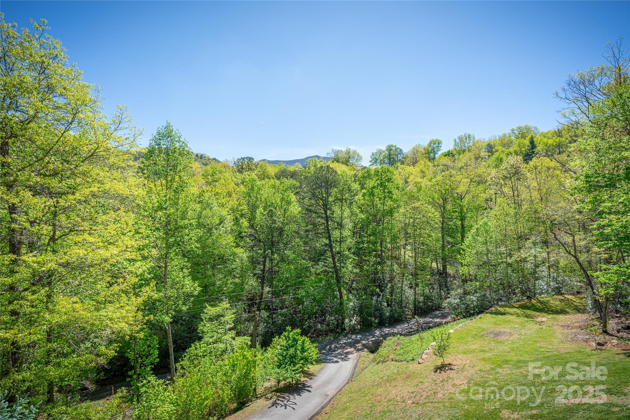 234 Deer Run Road Canton, NC 28716 - Photo 43 of 48 a view of a yard