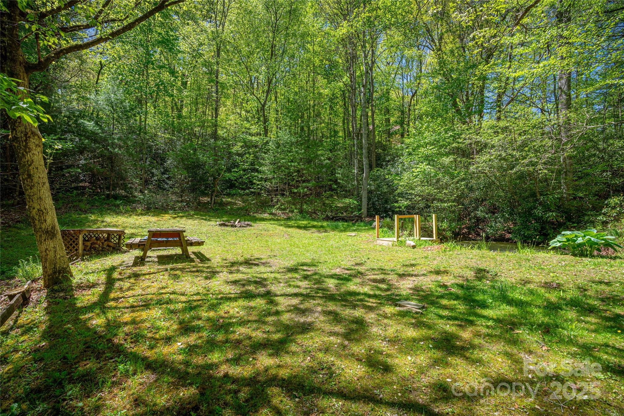 234 Deer Run Road Canton, NC 28716 - Photo 47 of 48 a view of a yard with a tree