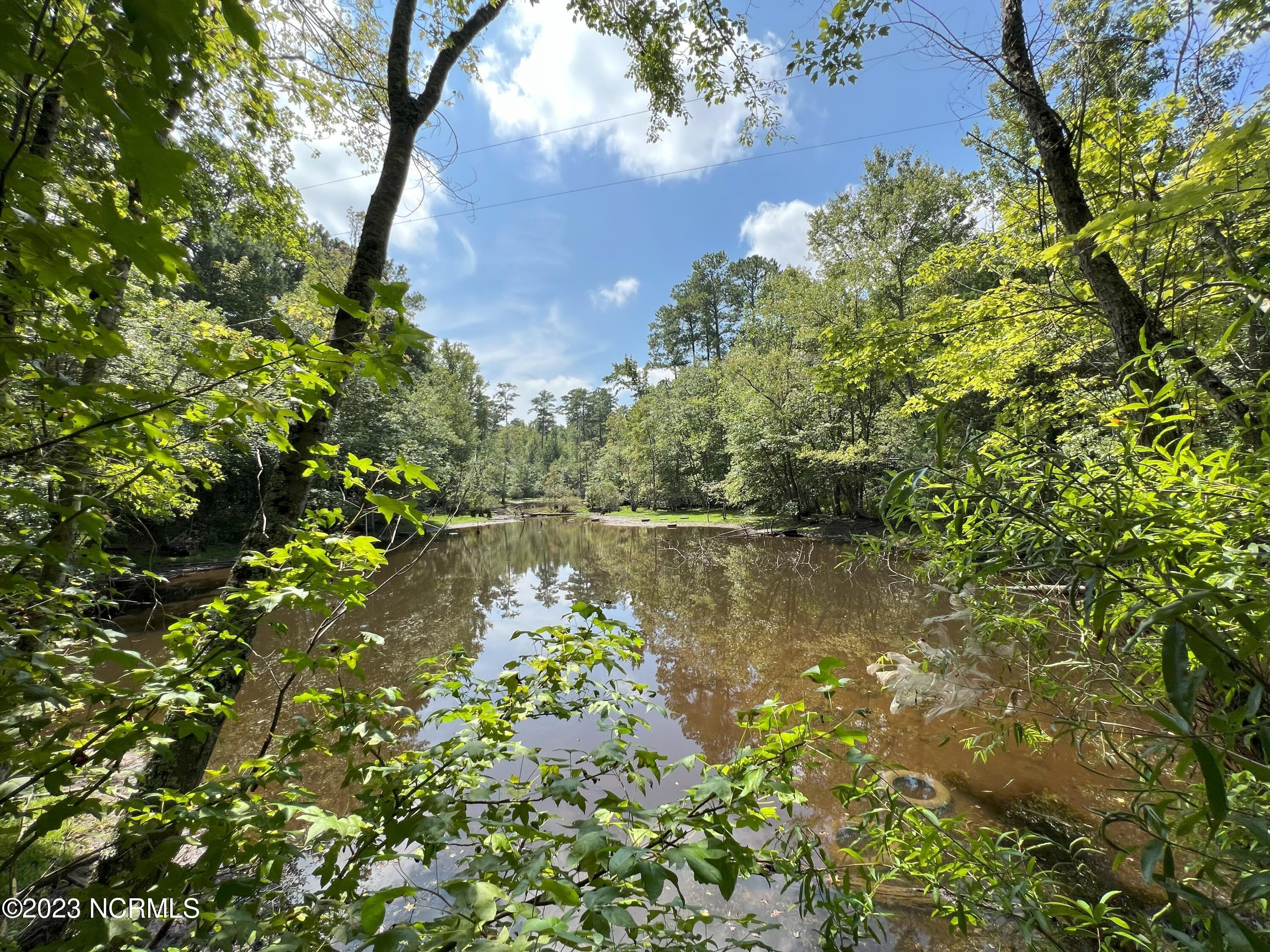 6404 Mitchell Mill Road Zebulon, NC 27597 - Photo 6 of 22 IMG_3482