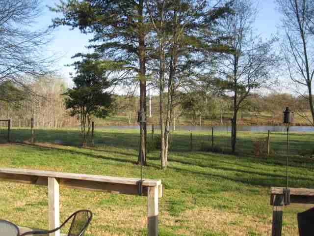 20 Reedy River Way Greenville, SC 29605 - Photo 3 of 22 Gallery Image 3