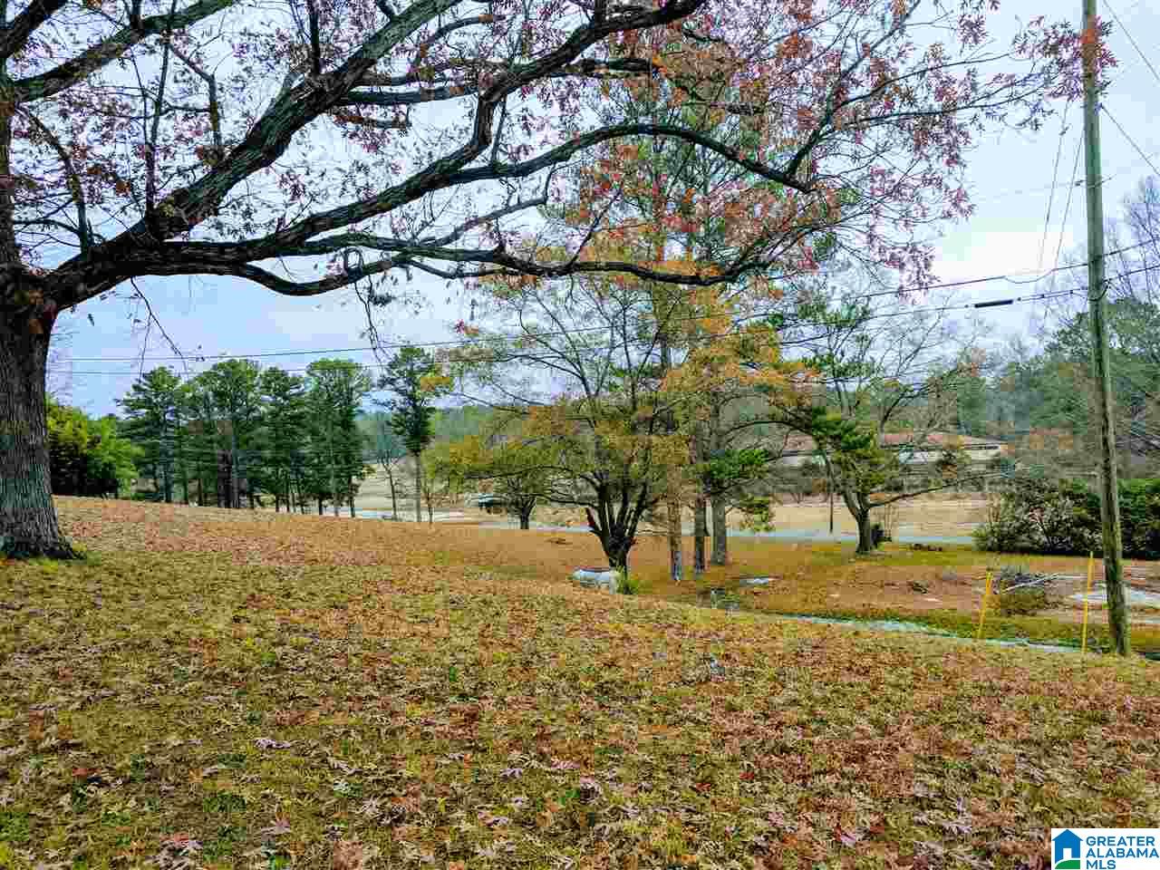 Baltzell Gate Road, Unit 1 45 Anniston, AL 36205 - Photo 8 of 19