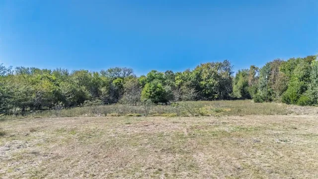 a view of dirt field with trees in background