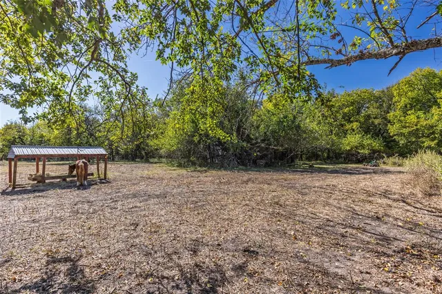 a backyard of a house with lots of green space