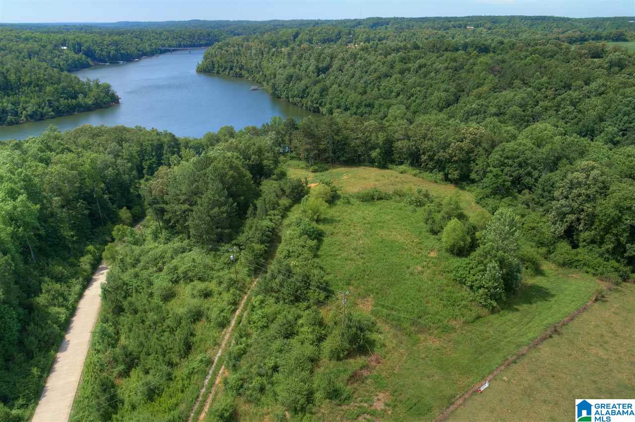 0 Ridge Drive, Unit 58 PART 54 & BOAT RAMP Arley, AL 35541 - Photo 5 of 27