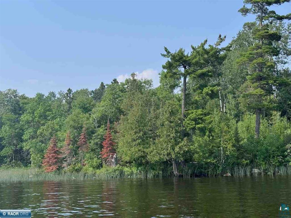 Tbd Tbd Lake Tower, MN 55790 - Photo 2 of 5