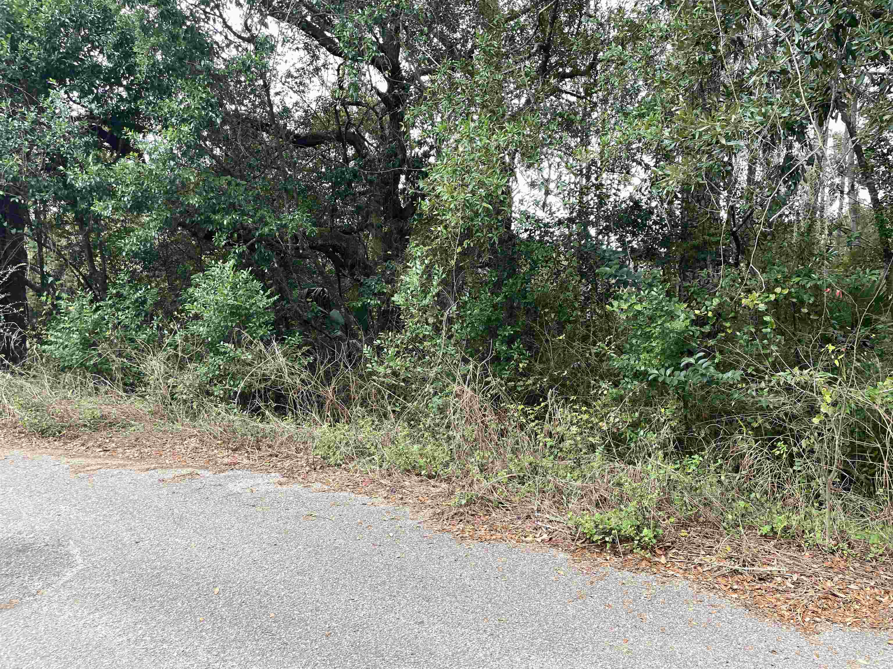 3514 Lillian Road Tallahassee, FL 32305 - Photo 3 of 12