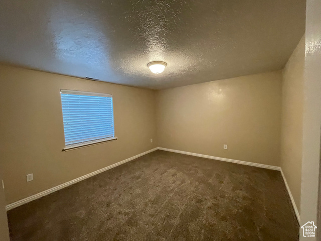 11473 South Dempsey Creek Road Lava Hot Springs, ID 83246 - Photo 29 of 47 Unfurnished room featuring a textured ceiling and dark carpet