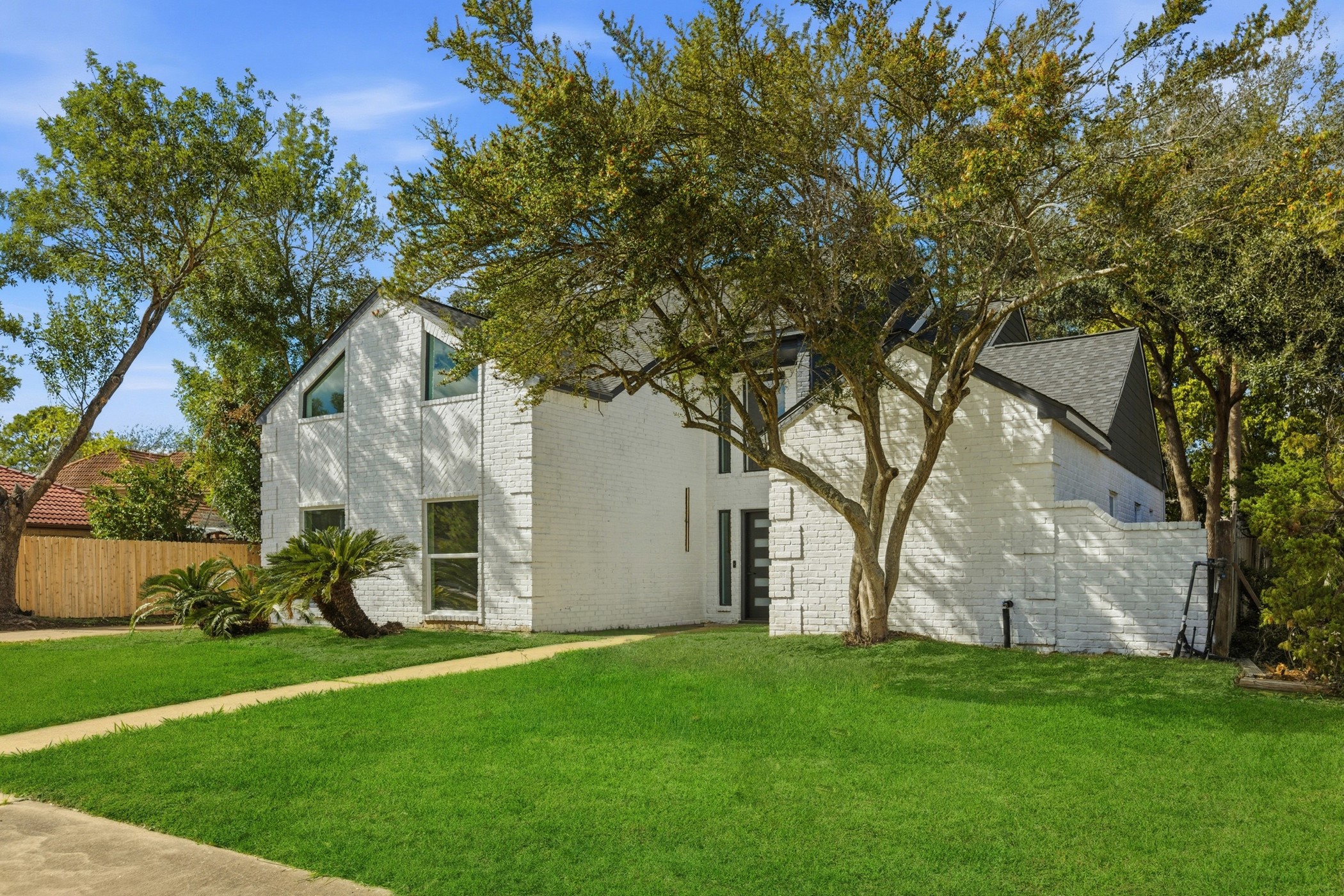 7338 San Ramon Drive Houston, TX 77083 - Photo 1 of 38 a view of a backyard with plants and large trees
