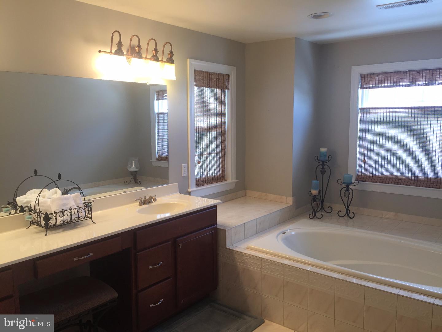3846 Springtown Road Furlong, PA 18925 - Photo 16 of 25 Master Bathroom